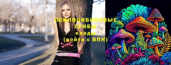 синтетический гашиш Нефтекумск